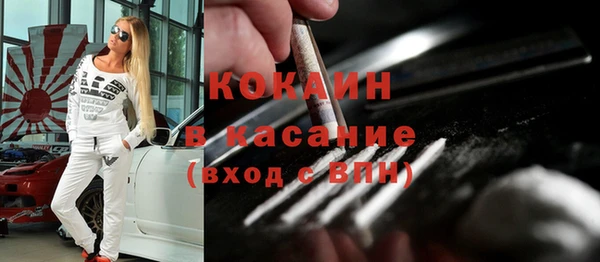 твердый Осинники