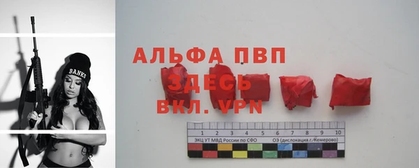 твердый Осинники