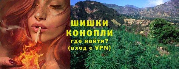 spice Весьегонск
