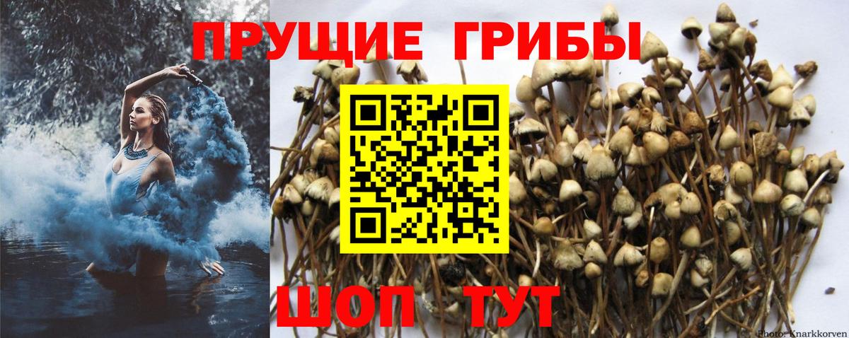 Галлюциногенные грибы ЛСД Куйбышев