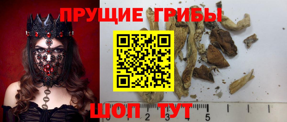 Галлюциногенные грибы Cubensis Куйбышев