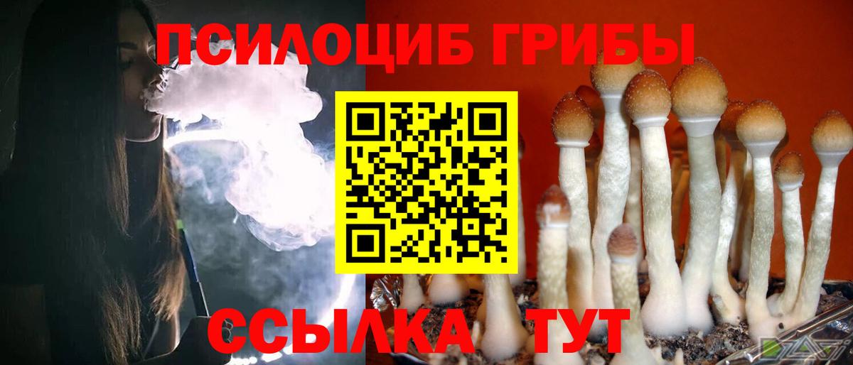 Галлюциногенные грибы Magic Shrooms  Вход с VPN  Куйбышев 
